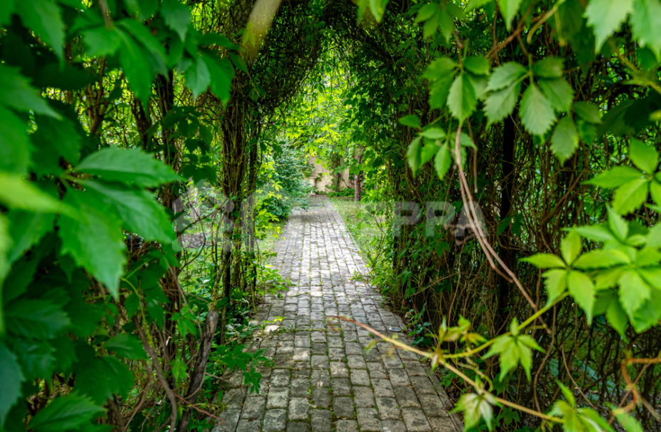 Объект ID 18123 - Дом