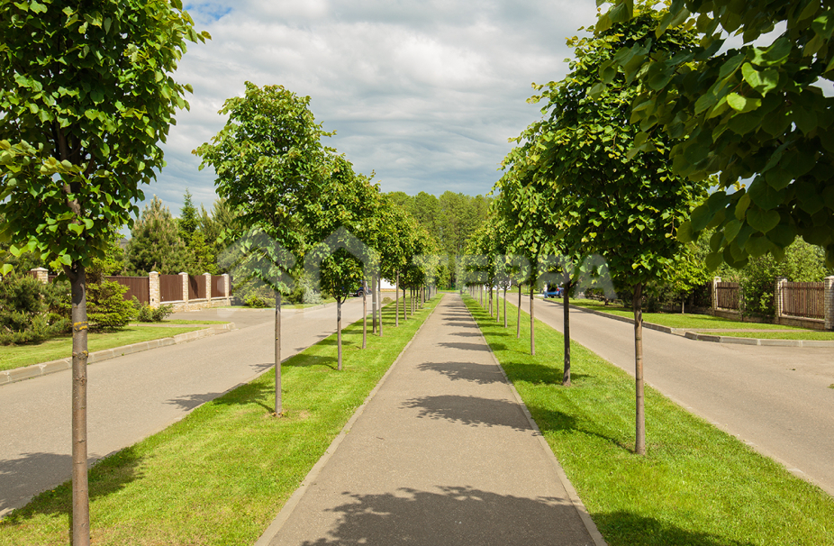 Объект ID 18122 - Дом