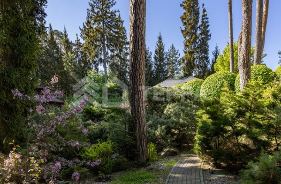 Объект ID 18658 - Участок