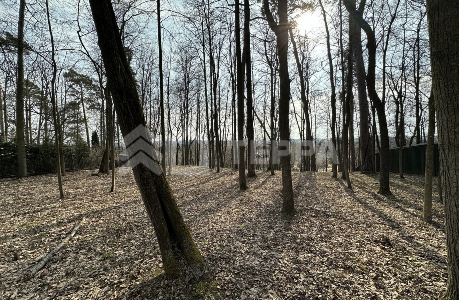 Объект ID 18433 - Участок