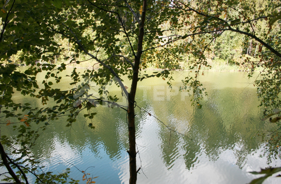 Объект ID 18698 - Участок