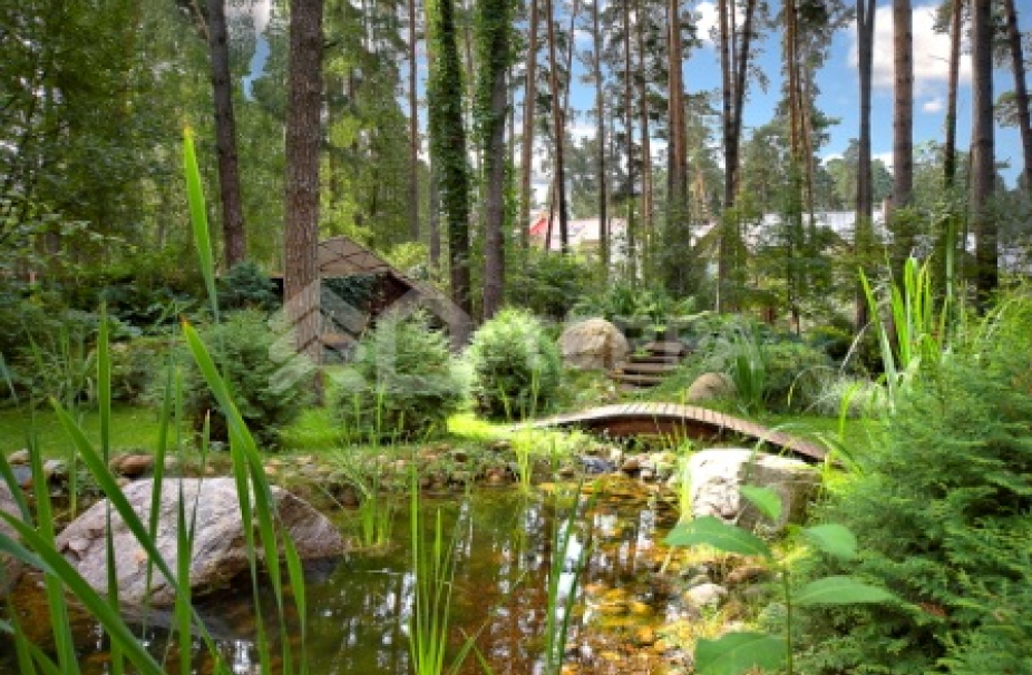 Объект ID 3997 - Дом