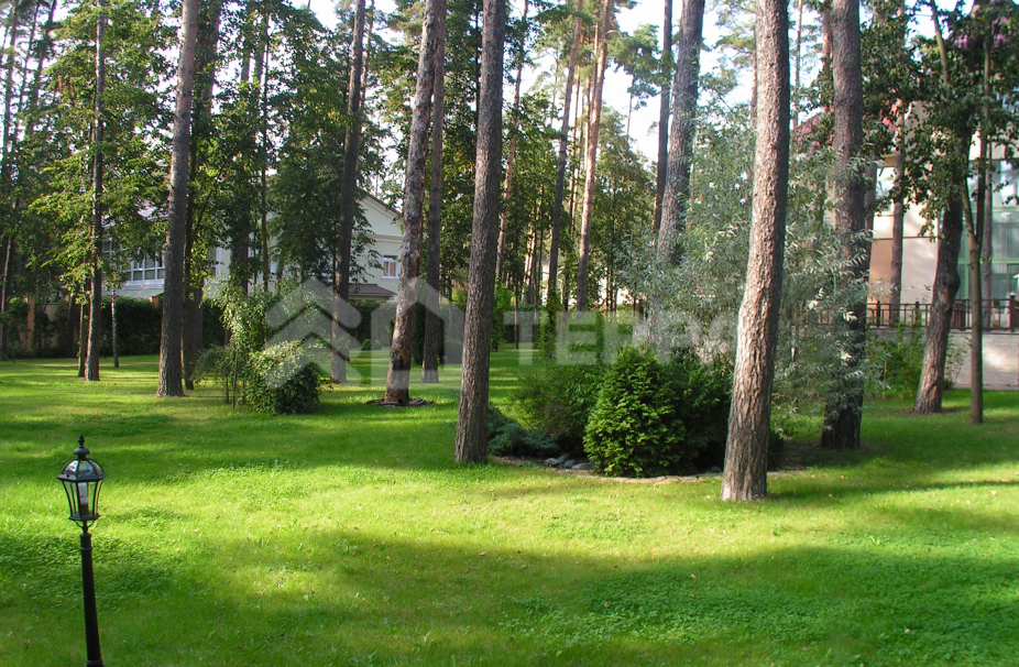 Дипломат КИЗ