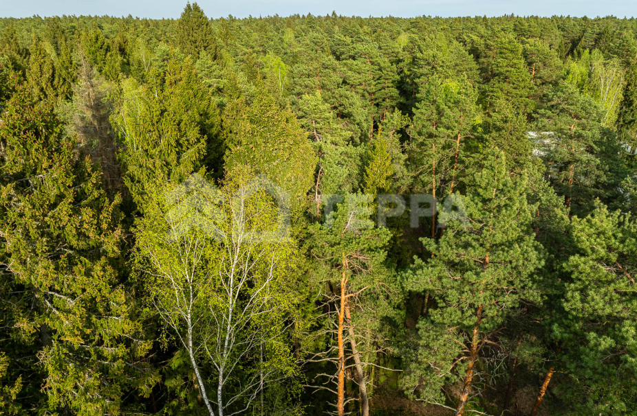 Объект ID 19097 - Участок