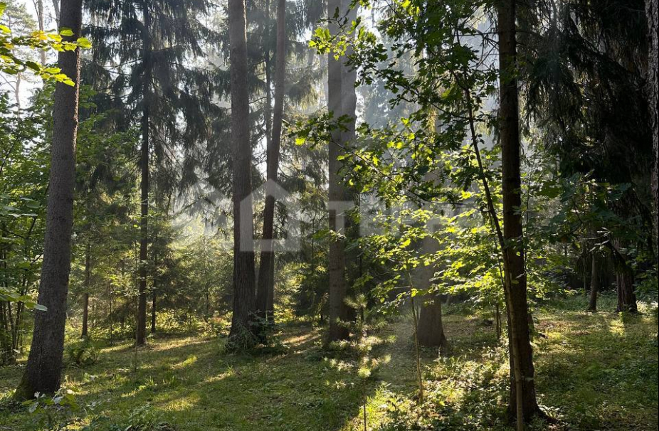 Объект ID 19114 - Дом