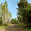 Объект ID 18565 - Участок