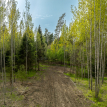 Объект ID 18566 - Участок