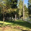 Объект ID 18568 - Участок