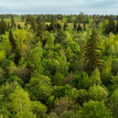 Объект ID 19291 - Участок