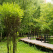 West Garden