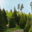 Объект ID 18568 - Участок