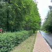 Объект ID 18668 - Участок