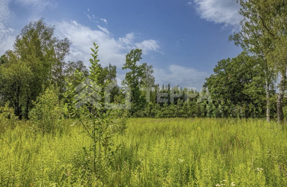 Объект ID 19099 - Участок