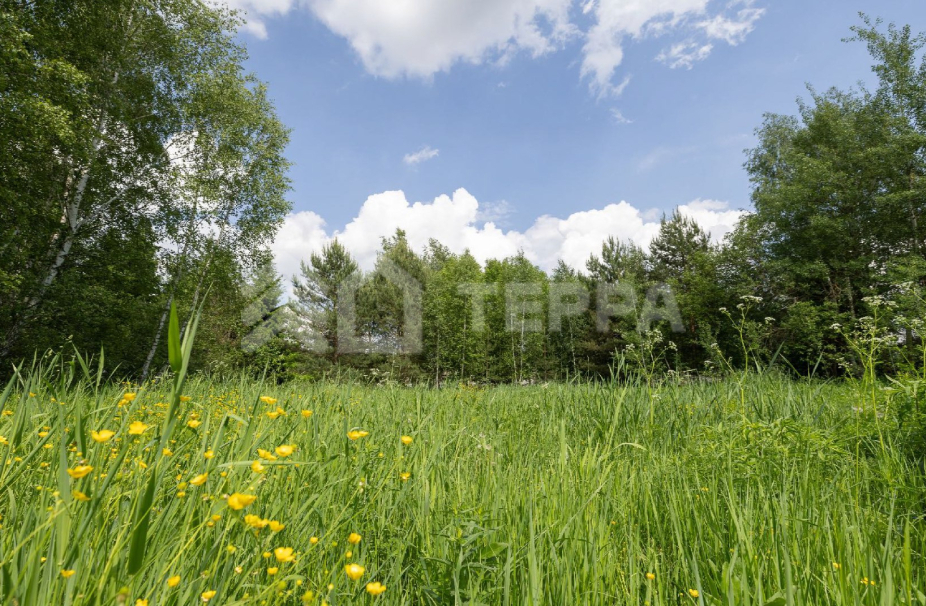 Объект ID 18963 - Участок