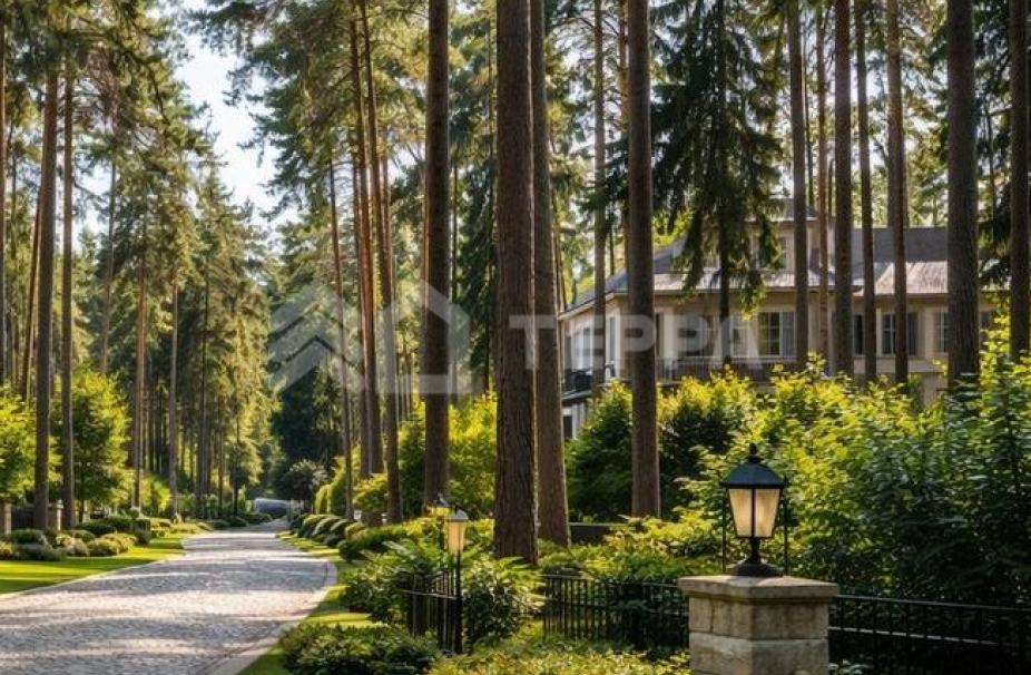 Объект ID 19065 - Участок