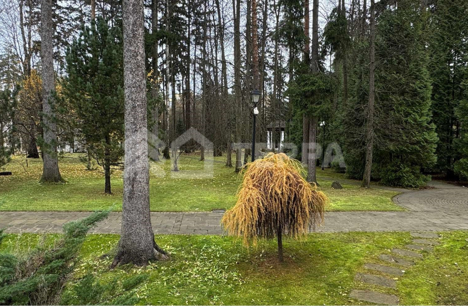 Объект ID 18250 - Дом