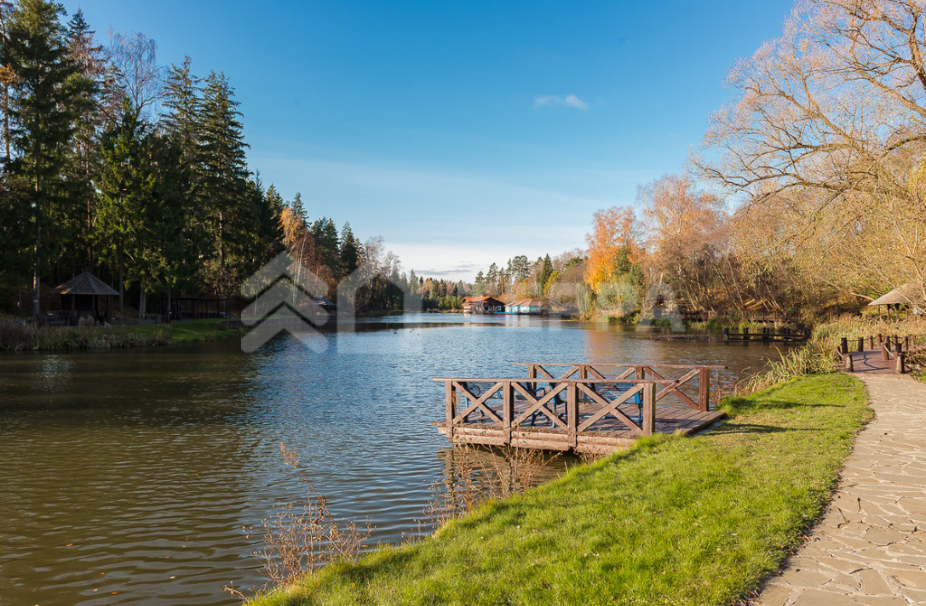 Объект ID 19163 - Участок