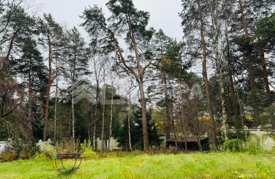 Объект ID 18942 - Участок