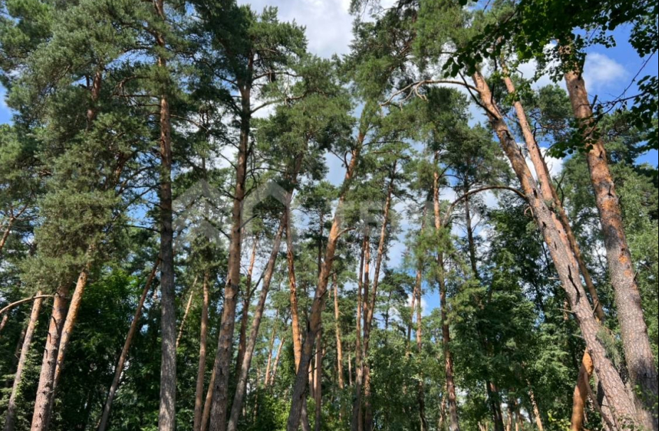 Объект ID 18703 - Участок