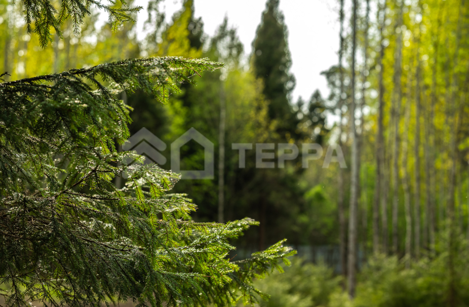 Перхушково