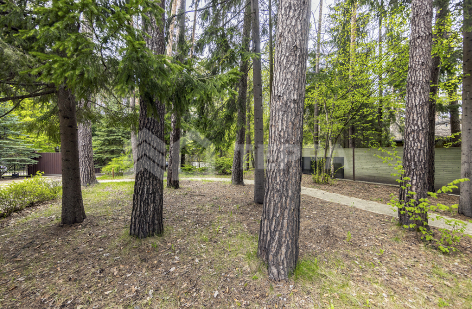 Объект ID 18815 - Участок