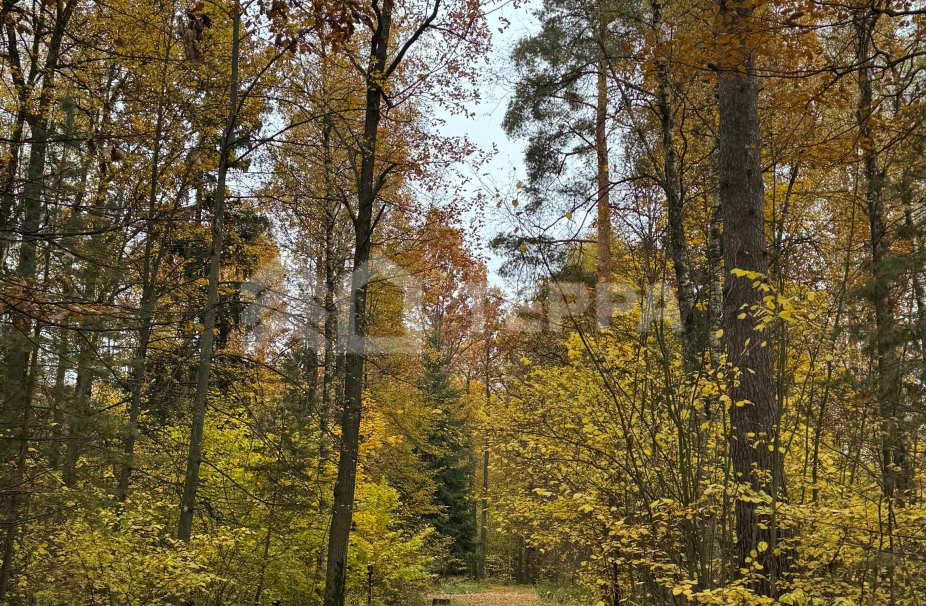 Объект ID 18991 - Участок